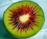بذر کیوی توسرخ kiwi